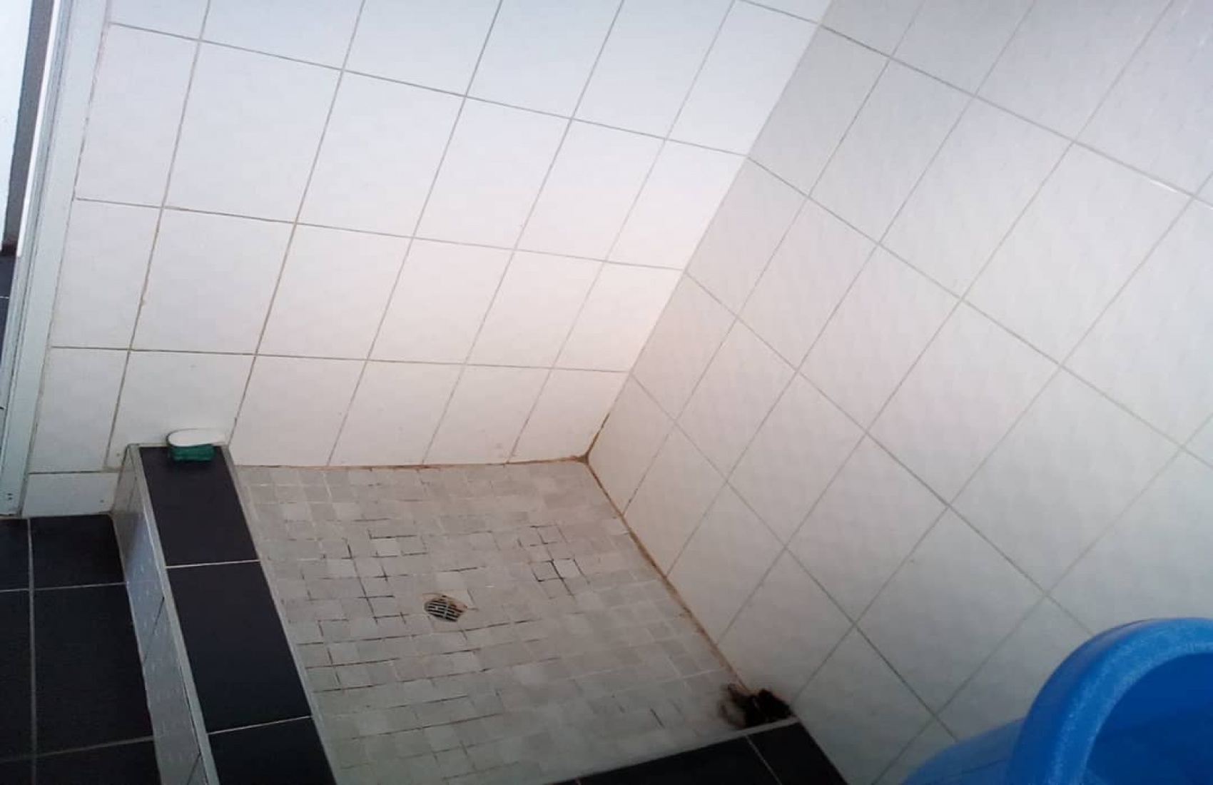 Bulawayo, 2 Bedrooms Bedrooms, 4 Rooms Rooms,1 BathroomBathrooms,Houses,For Sale,1012