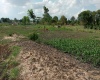 Simon Mazorodze Road, Harare, ,Land,For Sale,Simon Mazorodze Road,1021