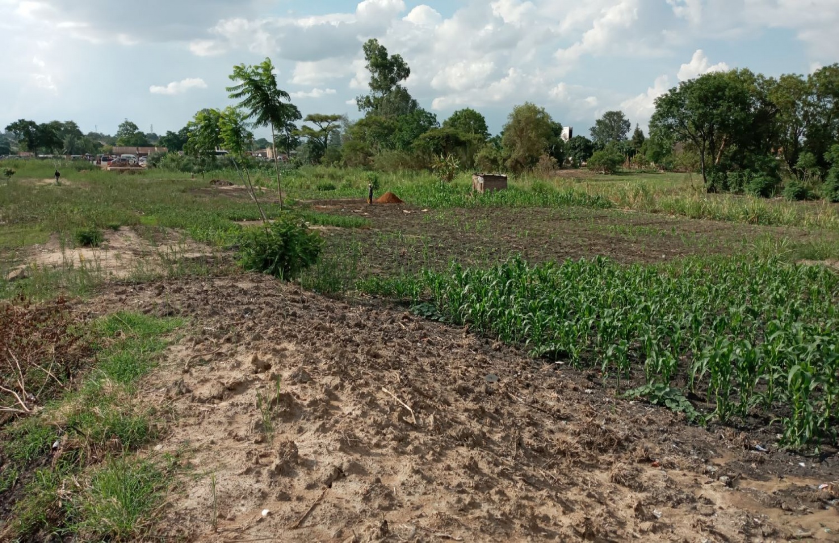 Simon Mazorodze Road, Harare, ,Land,For Sale,Simon Mazorodze Road,1021