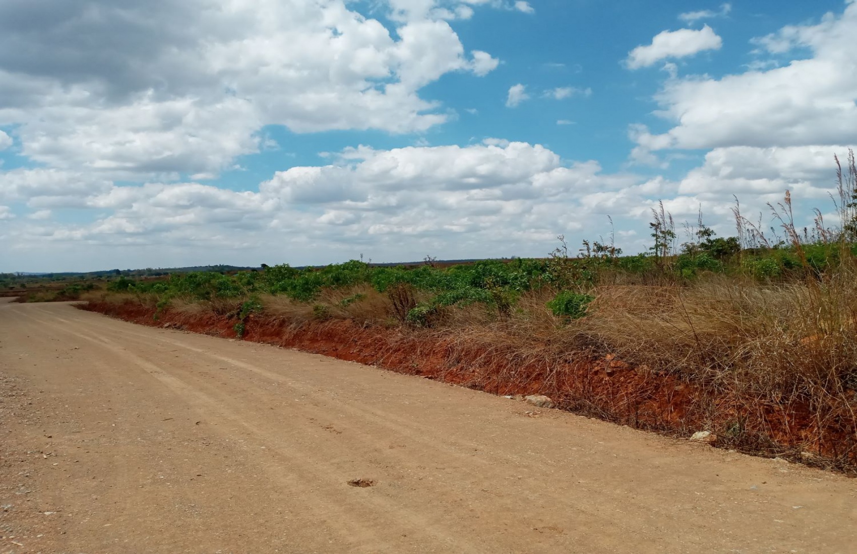 Harare, ,Land,For Sale,1022