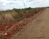 Harare, ,Land,For Sale,1022