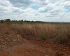 Harare, ,Land,For Sale,1022