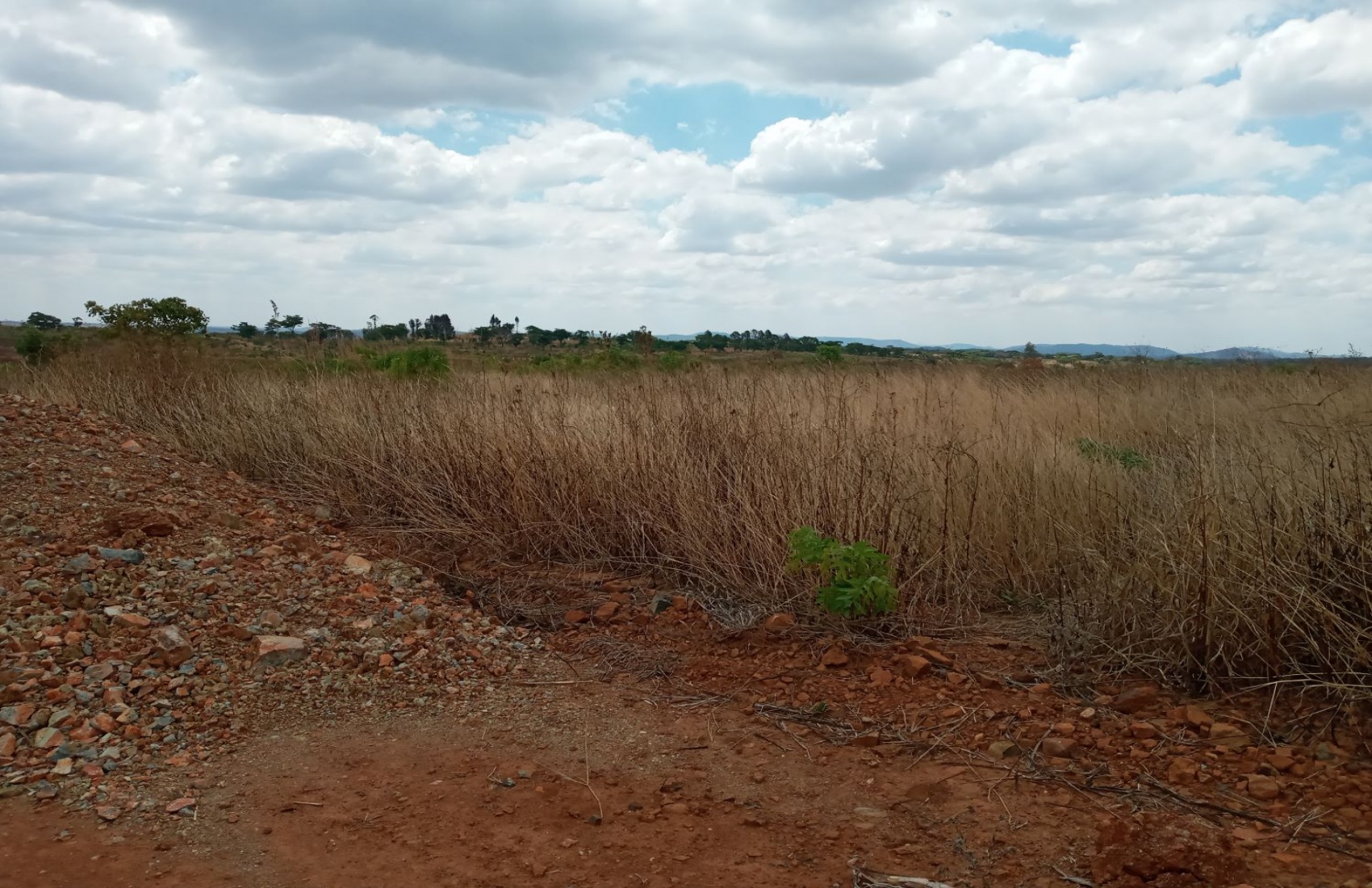 Harare, ,Land,For Sale,1022