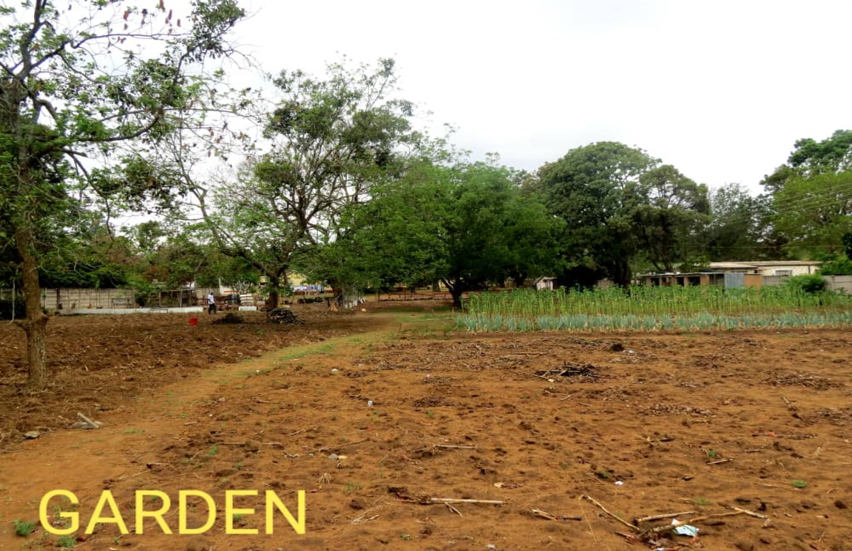 Hampshire, Harare, 3 Bedrooms Bedrooms, 7 Rooms Rooms,1 BathroomBathrooms,Houses,For Sale,Hampshire,1028