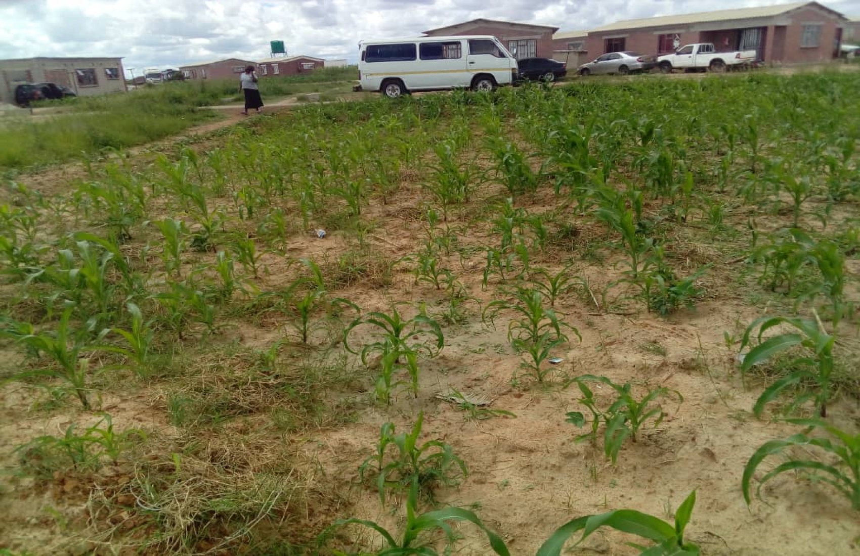 Harare, ,Land,For Sale,1035