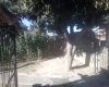 Tarisai Street, Chitungwiza, 4 Bedrooms Bedrooms, 9 Rooms Rooms,1 BathroomBathrooms,Houses,For Sale,Tarisai Street,1037