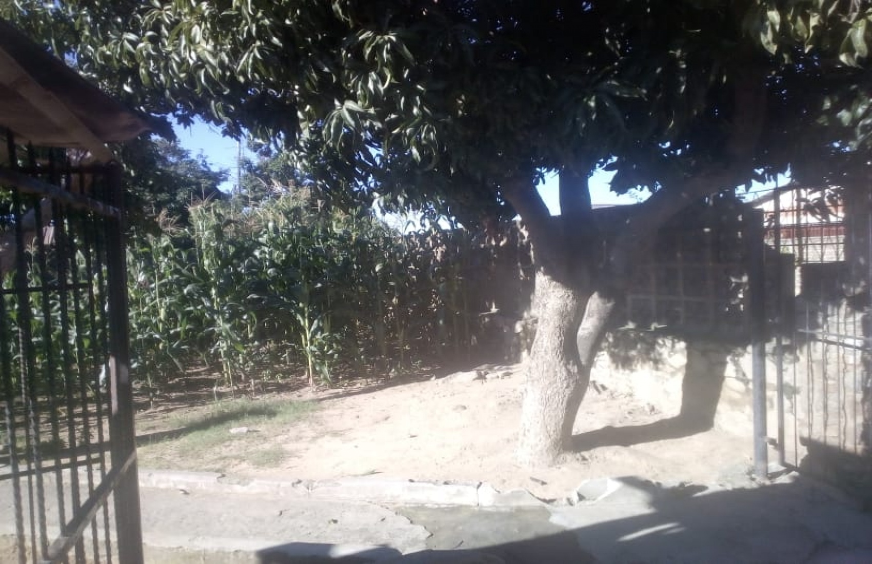 Tarisai Street, Chitungwiza, 4 Bedrooms Bedrooms, 9 Rooms Rooms,1 BathroomBathrooms,Houses,For Sale,Tarisai Street,1037