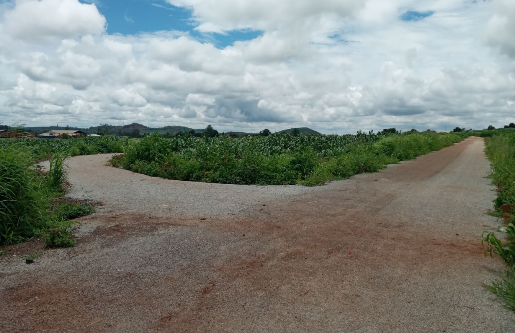 Harare, ,Land,For Sale,1039