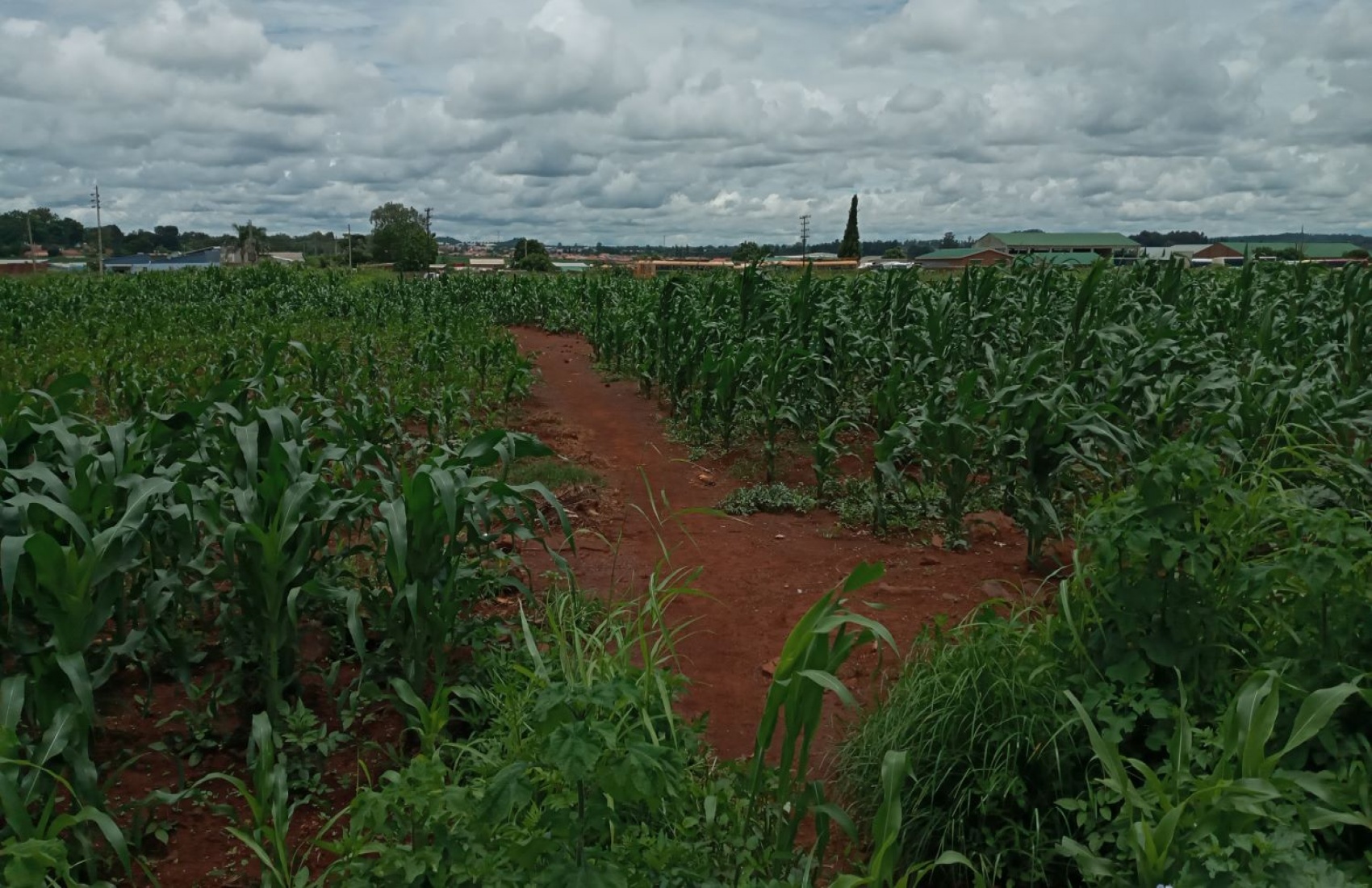 Harare, ,Land,For Sale,1039