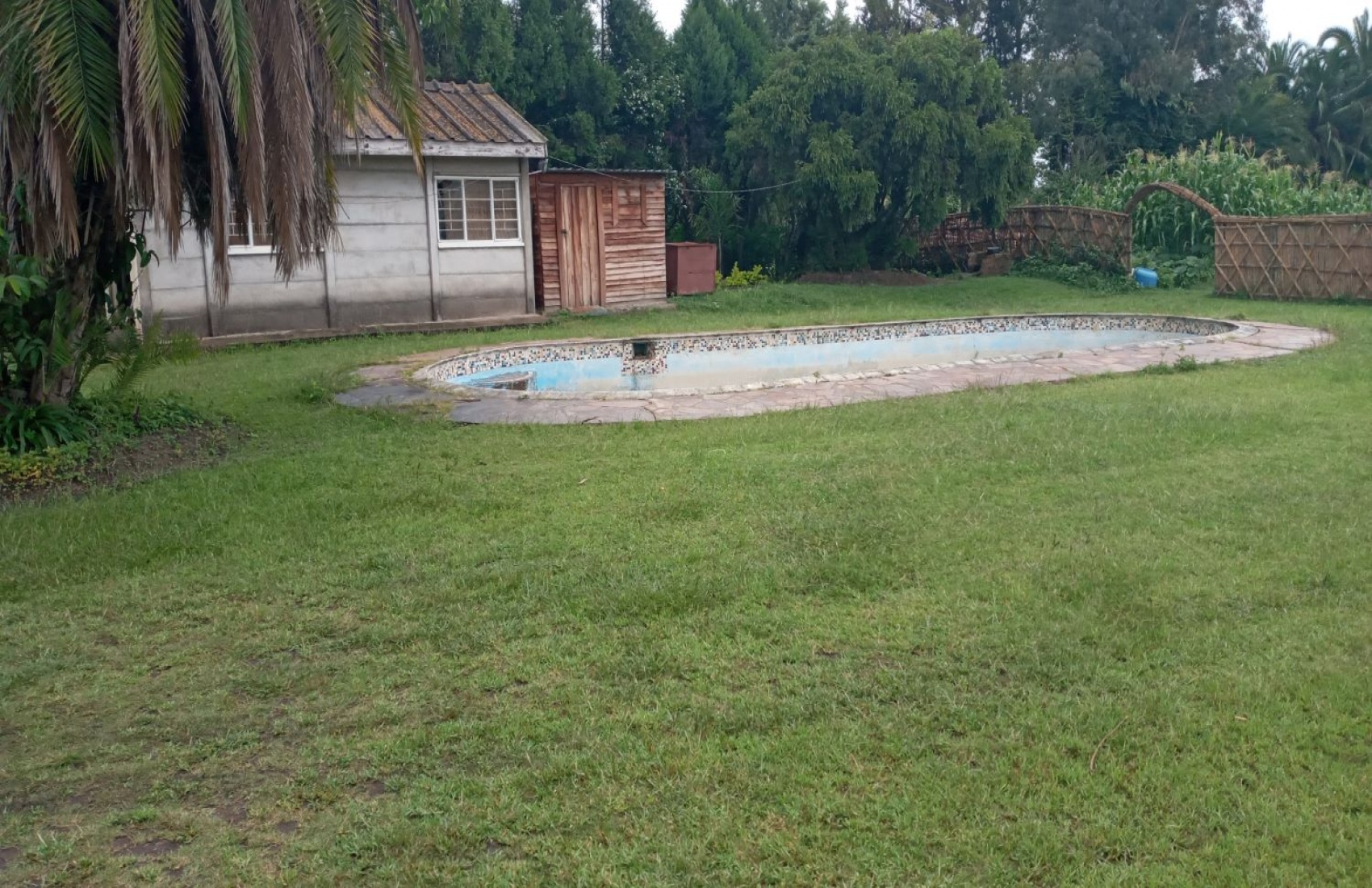 Taormina Avenue, Harare, 3 Bedrooms Bedrooms, 7 Rooms Rooms,1 BathroomBathrooms,Houses,For Sale,Taormina Avenue,1040