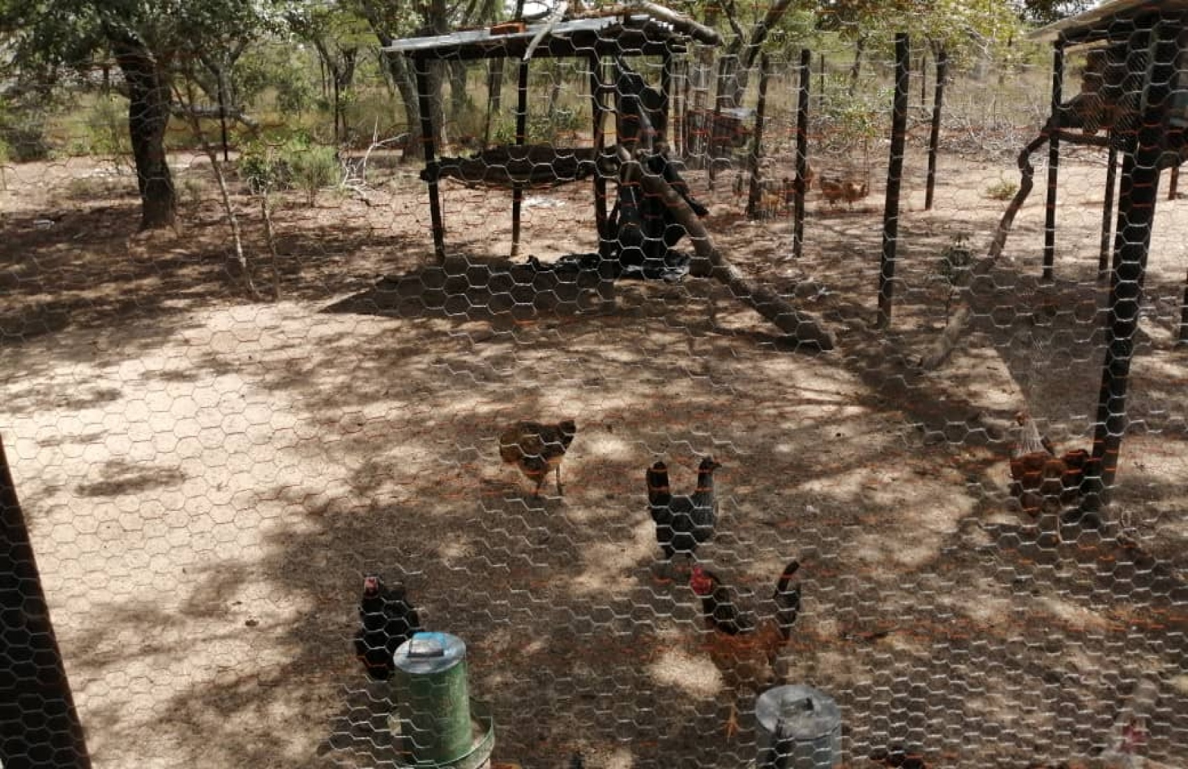 Chivhu, ,Land,For Sale,1046