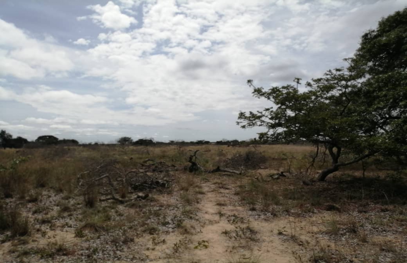 Chivhu, ,Land,For Sale,1046