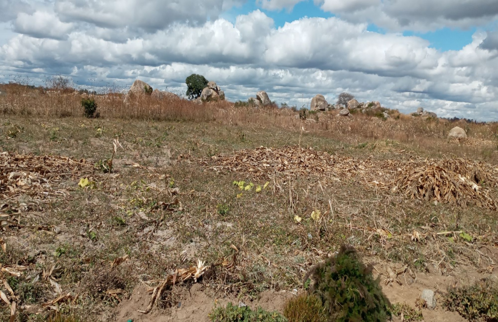 Ruwa, ,Land,For Sale,1052